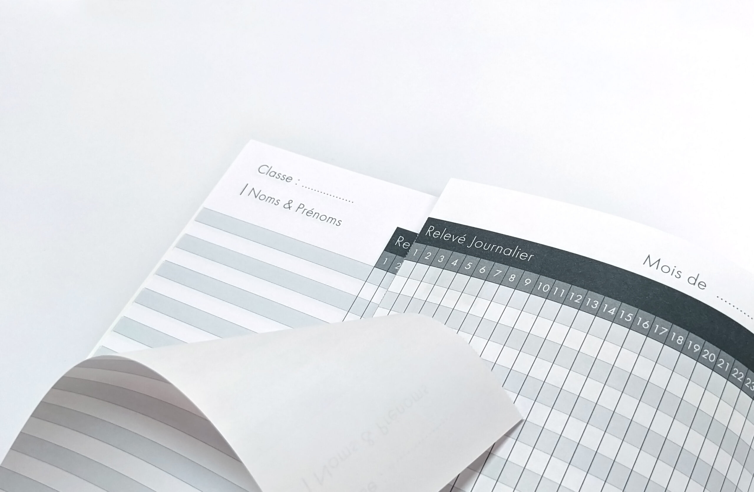 Daily attendance register