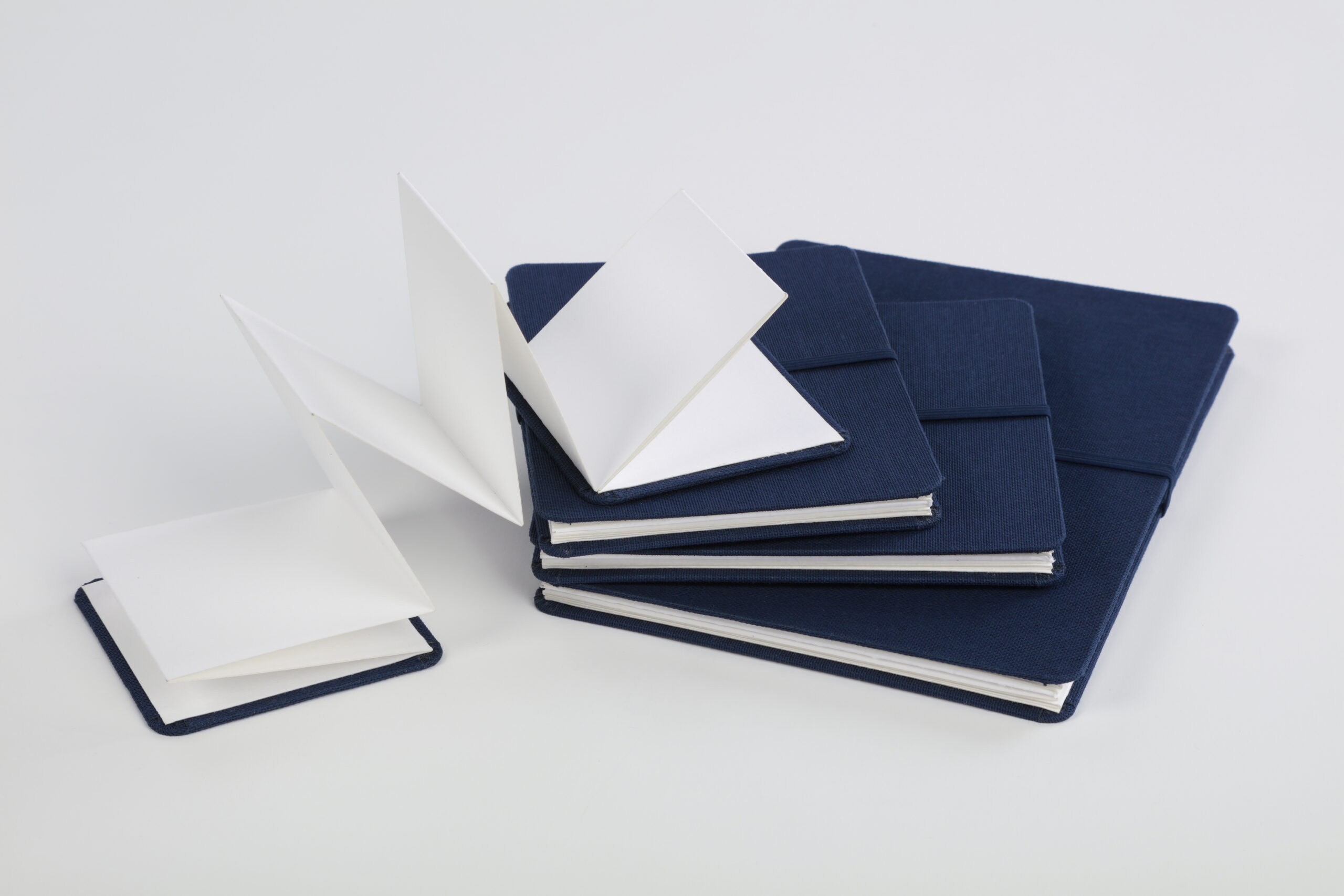 Accordion notebook