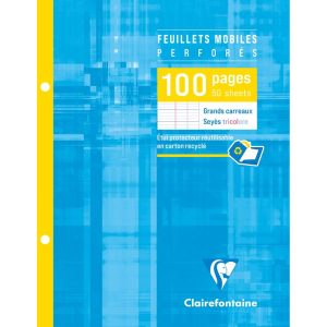 Feuillets mobiles sous &eacute;tui 17x22 cm 100 pages perfor&eacute;es 2 trous grands carreaux