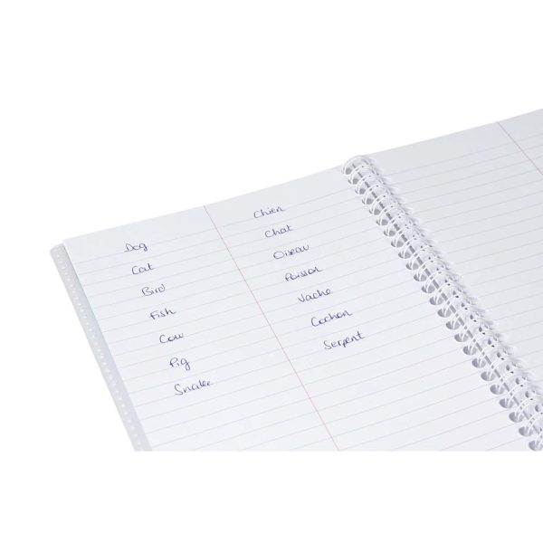 Carnet de vocabulaire reliure int&eacute;grale Koverbook 11x17cm 100 pages lign&eacute; + marge centrale couverture polypropyl&egrave;ne transparent