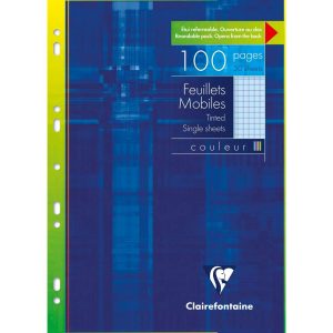 Feuillets mobiles de couleur sous &eacute;tui A4 100 pages perfor&eacute;es petits carreaux
