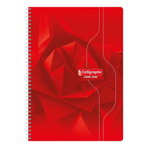 Cahier reliure int&eacute;grale 7000 A4 100 pages grands carreaux 70 g