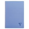 Cahier reliure int&eacute;grale Linicolor FRESH A4 100 pages petits carreaux couverture plastique polypropy&egrave;ne rainur&eacute; Couleur al&eacute;atoire