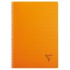 Cahier reliure int&eacute;grale Linicolor FRESH A4 100 pages petits carreaux couverture plastique polypropy&egrave;ne rainur&eacute; Couleur al&eacute;atoire