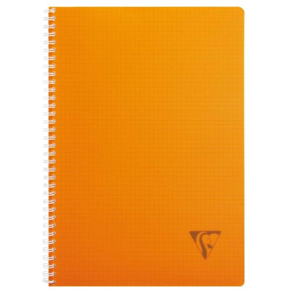 Cahier reliure int&eacute;grale Linicolor FRESH A4 100 pages petits carreaux couverture plastique polypropy&egrave;ne rainur&eacute; Couleur al&eacute;atoire