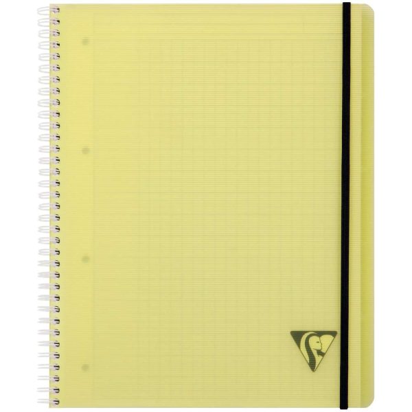 Proactiv&rsquo;Book Linicolor FRESH cahier reliure int&eacute;grale A4+ 160 pages d&eacute;tachables perfor&eacute; 4 trous grands carreaux + cadre en-t&ecirc;te + 1 pochette trieur couverture plastique polypropy&egrave;ne rainur&eacute; Couleur al&eacute;atoire