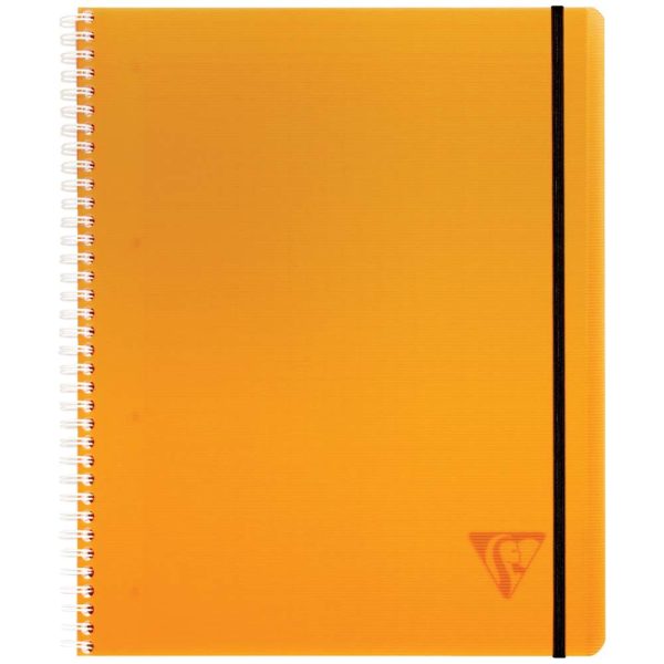 Proactiv&rsquo;Book Linicolor FRESH cahier reliure int&eacute;grale A4+ 160 pages d&eacute;tachables perfor&eacute; 4 trous grands carreaux + cadre en-t&ecirc;te + 1 pochette trieur couverture plastique polypropy&egrave;ne rainur&eacute; Couleur al&eacute;atoire