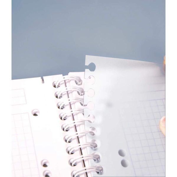 Evolutiv&rsquo;Book Linicolor INTENSIVE cahier reliure int&eacute;grale A4+ 240 pages d&eacute;tachables perfor&eacute; 4 trous petits carreaux + cadre en-t&ecirc;te + 3 intercalaires couverture plastique polypropy&egrave;ne rainur&eacute; Couleur al&eacute;atoire
