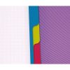 Evolutiv'Book Linicolor INTENSIVE cahier reliure int&eacute;grale A4+ 240 pages d&eacute;tachables perfor&eacute; 4 trous petits carreaux + cadre en-t&ecirc;te + 3 intercalaires couverture plastique polypropy&egrave;ne rainur&eacute; Couleur al&eacute;atoire