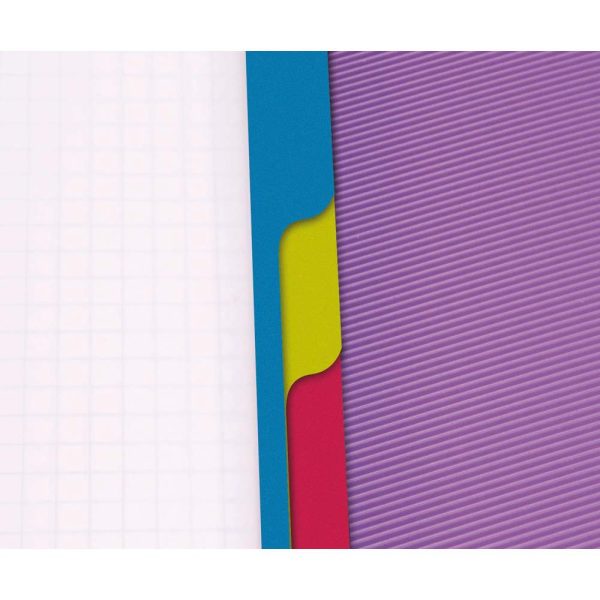 Evolutiv&rsquo;Book Linicolor INTENSIVE cahier reliure int&eacute;grale A4+ 240 pages d&eacute;tachables perfor&eacute; 4 trous petits carreaux + cadre en-t&ecirc;te + 3 intercalaires couverture plastique polypropy&egrave;ne rainur&eacute; Couleur al&eacute;atoire