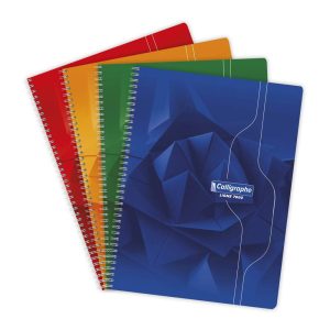 Cahier reliure int&eacute;grale 7000 24x32 cm 180 pages petits carreaux 70 g