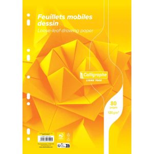 Feuillets mobiles dessin scolaire sous film 7000 A4 80 pages perfor&eacute;es uni 120g