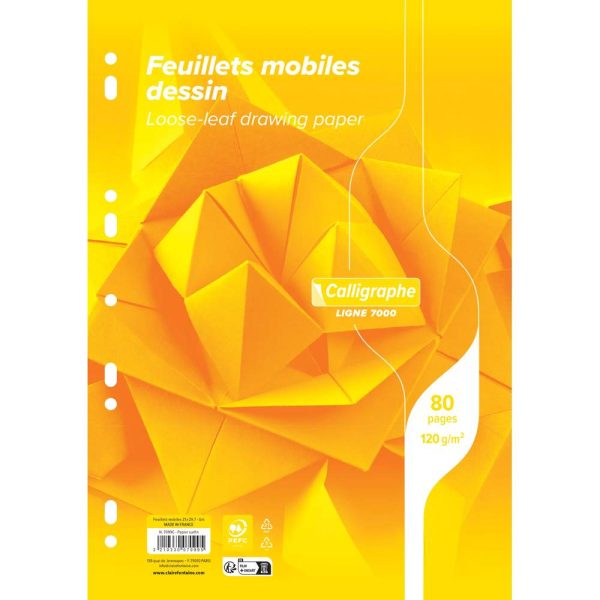 Feuillets mobiles dessin scolaire sous film 7000 A4 80 pages perfor&eacute;es uni 120g