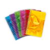 Carnet reliure int&eacute;grale 7000 9x14 cm 100 pages petits carreaux 70 g
