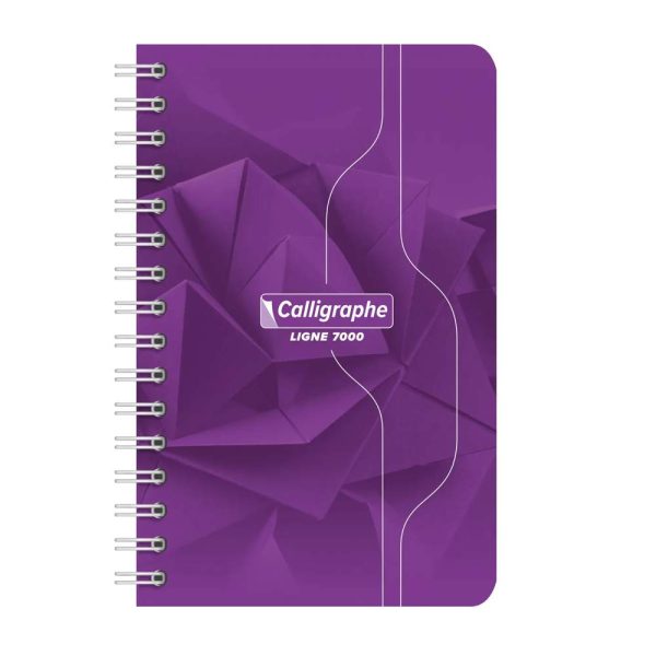 Carnet reliure int&eacute;grale 7000 9&times;14 cm 100 pages petits carreaux 70 g