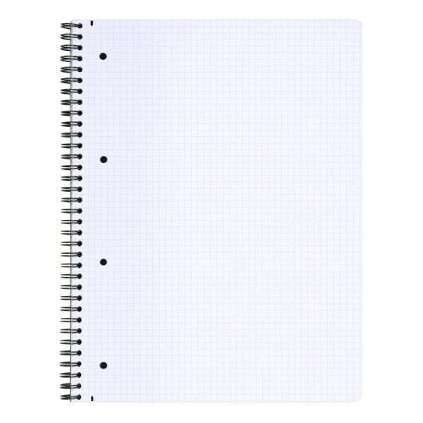 Carnet reliure int&eacute;grale Age Bag A4+ 160 pages d&eacute;tachables perfor&eacute; 4 trous petits carreaux