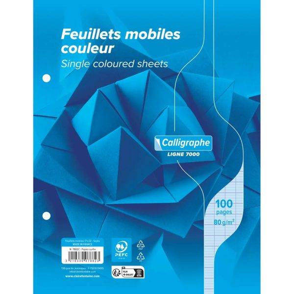 Feuillets mobiles sous film 7000 17&times;22 cm 100 pages perfor&eacute;es 2 trous grands carreaux 80 g