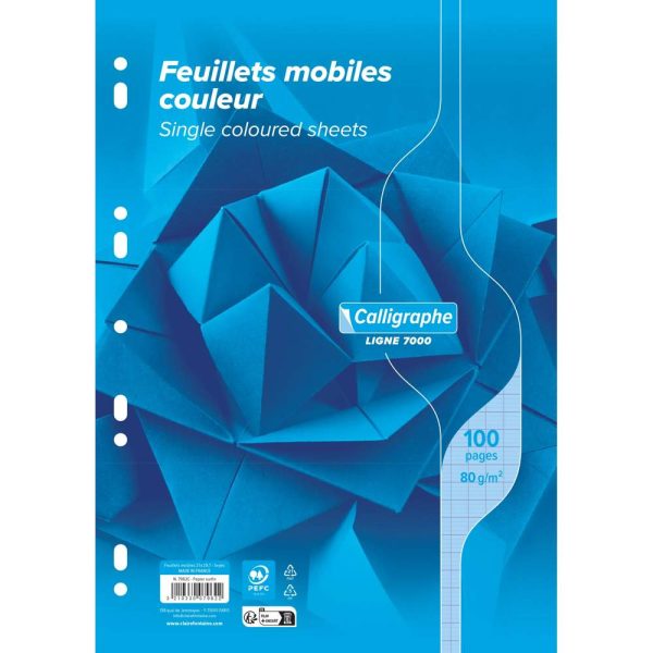 Feuillets mobiles sous film 7000 A4 100 pages perfor&eacute;es grands carreaux 80 g
