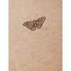 Flying Spirit carnet cousu 60F 16x21cm 90g
