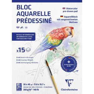 Aquarelle Pr&eacute;dessin&eacute; Animaux bloc coll&eacute; 15F 30x40cm 300g