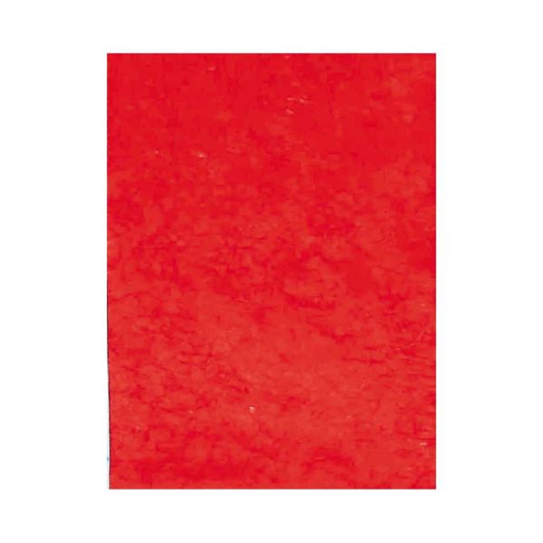 PAPIER M&Ucirc;RIER, &Eacute;tui de 10 feuilles 25g/m2 au format 65x95cm