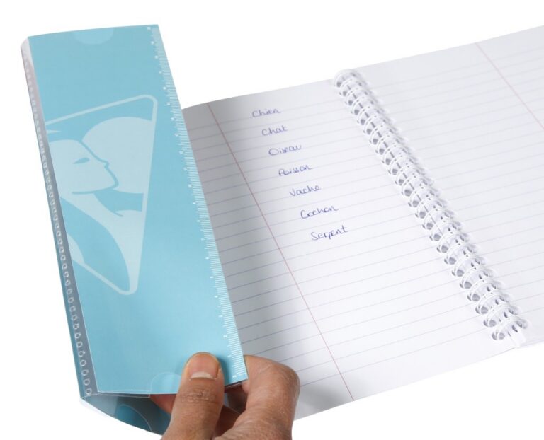 Comment apprendre les verbes irr&eacute;guliers ? m&eacute;thodes, astuces