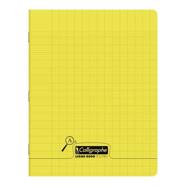 Cahier piqu&eacute; 8000 POLYPRO D&eacute;ficients visuels 17&times;22 cm 48 pages grands carreaux 2,5mm agrandi 10/10 90 g