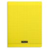Cahier piqu&eacute; 8000 POLYPRO 24x32 cm 192 pages grands carreaux 90 g