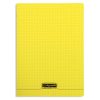 Cahier piqu&eacute; 8000 POLYPRO 24x32 cm 192 pages petits carreaux 90 g