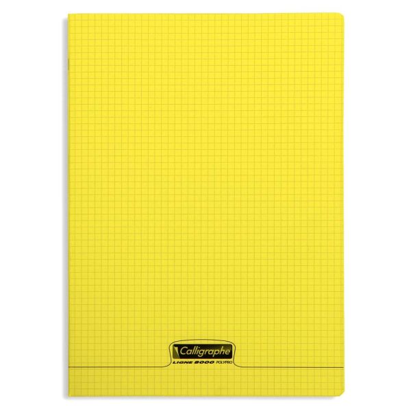 Cahier piqu&eacute; 8000 POLYPRO 24&times;32 cm 192 pages petits carreaux 90 g