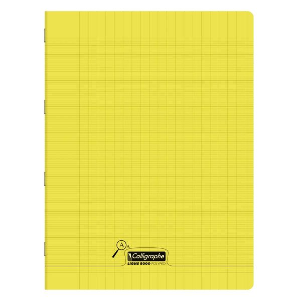 Cahier piqu&eacute; 8000 POLYPRO D&eacute;ficients visuels 24&times;32 cm 96 pages grands carreaux 2, 5mm agrandi 10/10 90 g