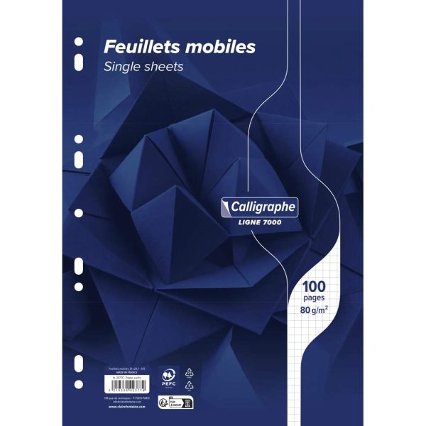 Feuillets mobiles sous film 7000 A4 100 pages perfor&eacute;es petits carreaux 80 g