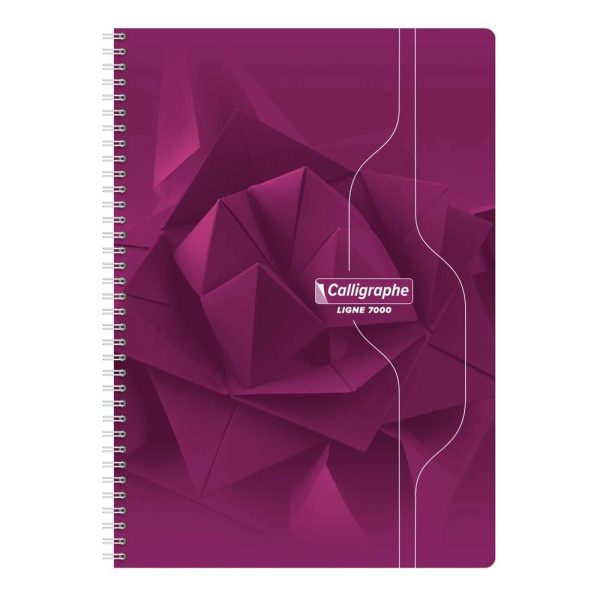 Cahier reliure int&eacute;grale 7000 A4 180 pages petits carreaux 70 g