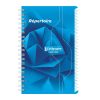 R&eacute;pertoire reliure int&eacute;grale 7000 11x17 cm 100 pages petits carreaux 70 g