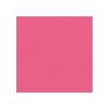 Cahier reliure int&eacute;grale Linicolor FRESH 17x22cm 100 pages petits carreaux couverture plastique polypropy&egrave;ne rainur&eacute; Couleur al&eacute;atoire