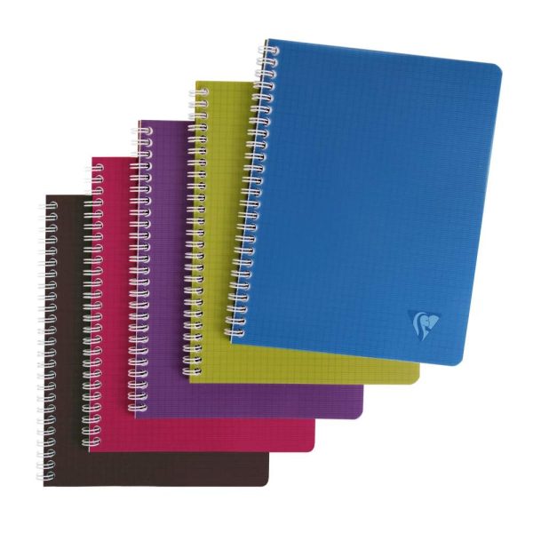 Cahier reliure int&eacute;grale Linciolor INTENSIVE 17x22cm 100 pages petits carreaux couverture plastique polypropy&egrave;ne rainur&eacute; Couleur al&eacute;atoire