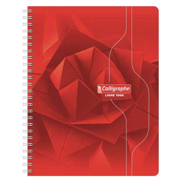 Cahier reliure int&eacute;grale 7000 17&times;22 cm 100 pages grands carreaux 70 g