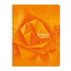 Cahier reliure int&eacute;grale 7000 17x22 cm 100 pages petits carreaux 70 g
