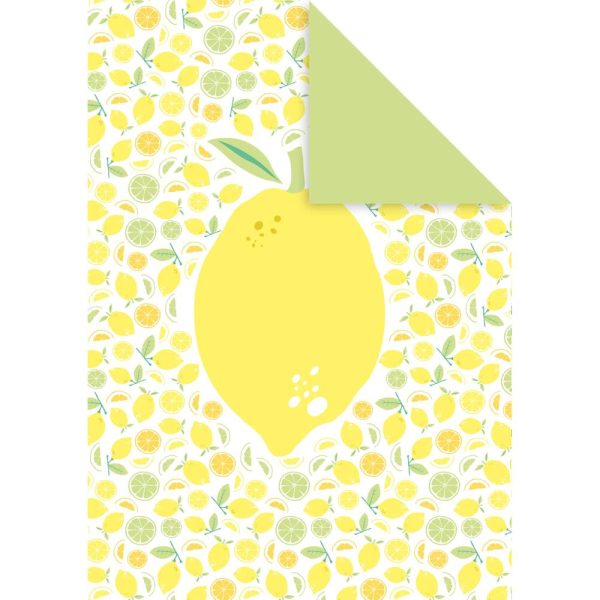 DECORATIV&rsquo;, Paquet de 25 feuilles 160g/m2 au format 21&times;29,7cm &ndash; Fra&icirc;cheur citron 3