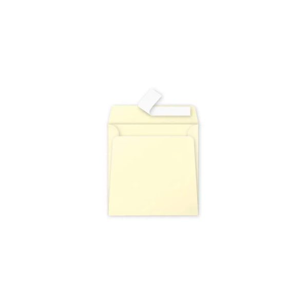Carton de 200 enveloppes Pollen 165x165mm 120g/m2