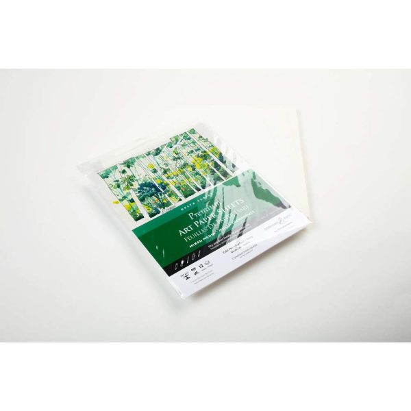 Sachet 12 feuil Delta 270g -20,3&times;25,4cm