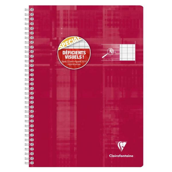 Cahier reliure int&eacute;grale d&eacute;ficients visuels A4 100 pages grands carreaux noirs 2,5mm agrandis 10&times;10 Couleur al&eacute;atoire