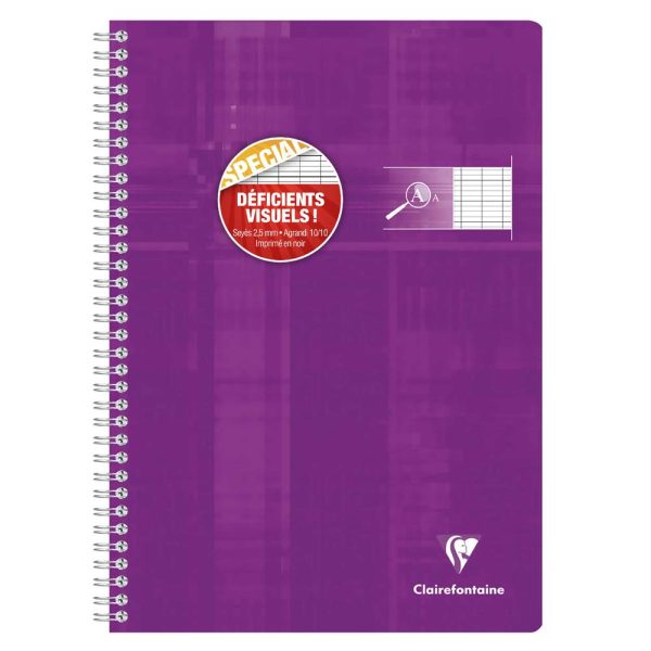 Cahier reliure int&eacute;grale d&eacute;ficients visuels A4 100 pages grands carreaux noirs 2,5mm agrandis 10&times;10 Couleur al&eacute;atoire