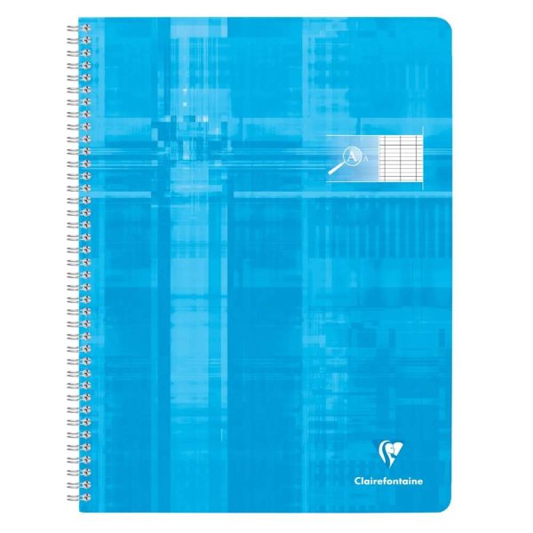 Cahier reliure int&eacute;grale d&eacute;ficients visuels 24x32cm 100 pages grands carreaux noirs 2,5mm agrandis 10&times;10 Couleur al&eacute;atoire