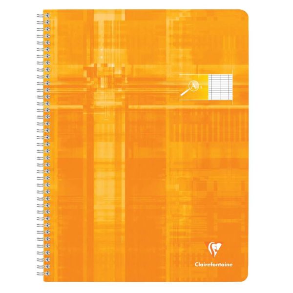 Cahier reliure int&eacute;grale d&eacute;ficients visuels 24x32cm 100 pages grands carreaux noirs 2,5mm agrandis 10&times;10 Couleur al&eacute;atoire