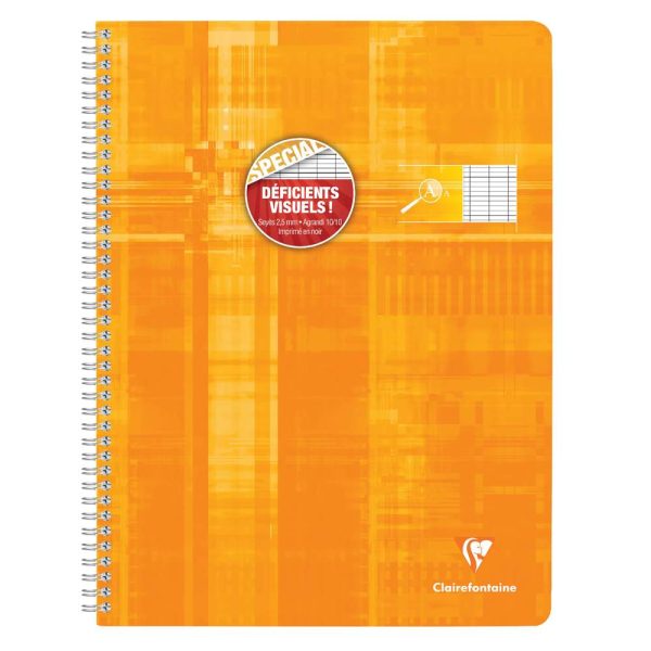 Cahier reliure int&eacute;grale d&eacute;ficients visuels 24x32cm 100 pages grands carreaux noirs 2,5mm agrandis 10&times;10 Couleur al&eacute;atoire