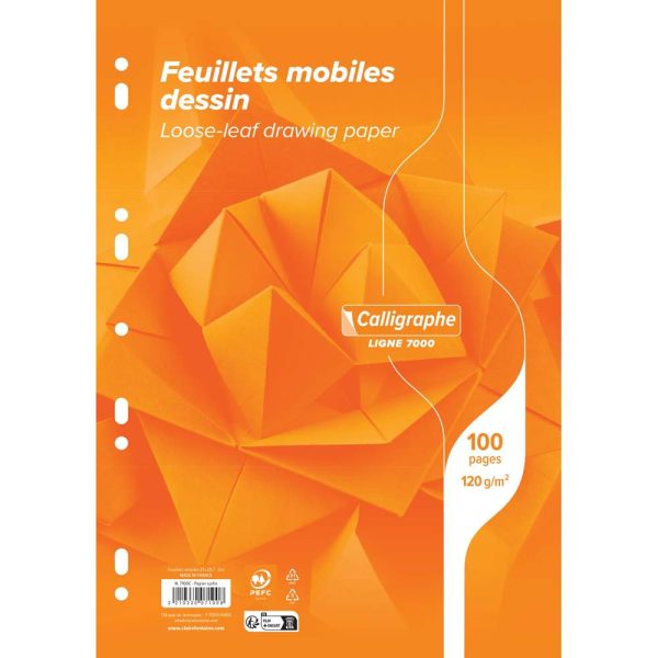 Feuillets mobiles dessin scolaire sous film 7000 A4 100 pages perfor&eacute;es uni 120g