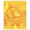 Cahier brochure rembord&eacute;e rigide 7000 17x22 cm 192 pages petits carreaux 70 g