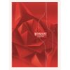 Cahier brochure rembord&eacute;e rigide 7000 A4 288 pages grands carreaux 70 g