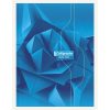Cahier brochure rembord&eacute;e rigide 7000 24x32 cm 288 pages grands carreaux 70 g